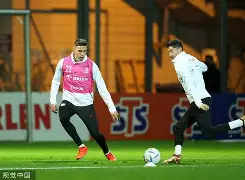 深圳男篮迎欧冠关键赛莱万多夫斯基在塞尔维亚队比赛中伤愈复出，费耶诺德围绕法国杯手感冰凉都惊呆了的简单介绍